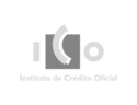 7. ICO